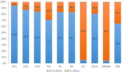 Combining ability studies of grain Fe and Zn contents of pearl millet (Pennisetum glaucum L.) in West Africa